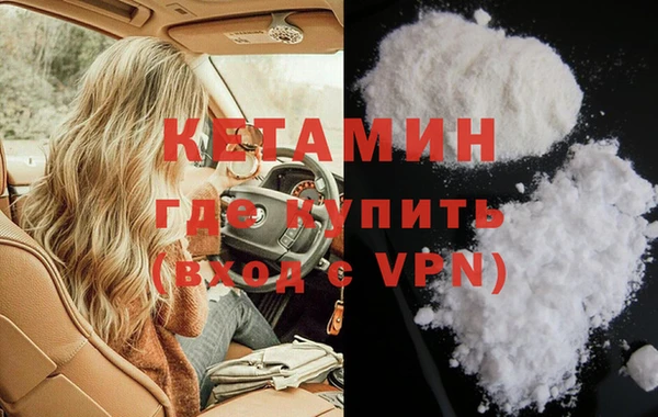 сатива Тобольск
