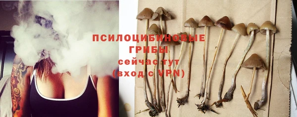 дмт Тихвин