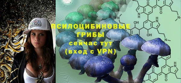 сатива Тобольск