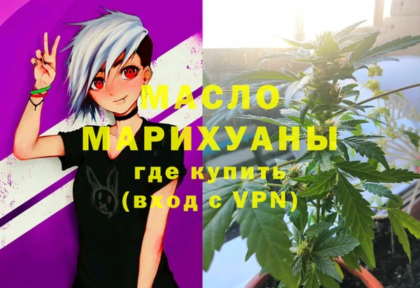индика Сковородино