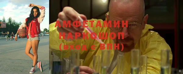 сатива Тобольск