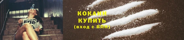 сатива Тобольск