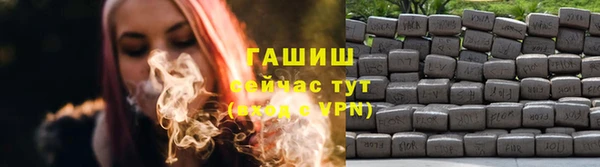 сатива Тобольск
