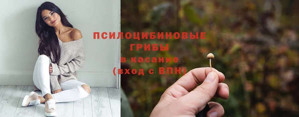 хмурый Соликамск