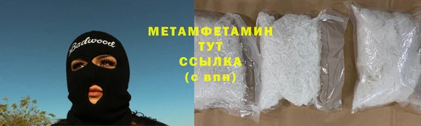 сатива Тобольск