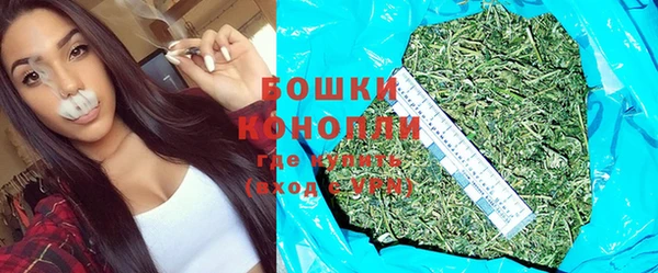 сатива Тобольск