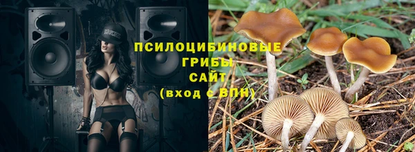 индика Сковородино
