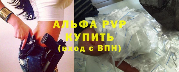 сатива Тобольск