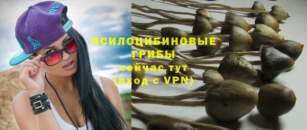 дмт Тихвин