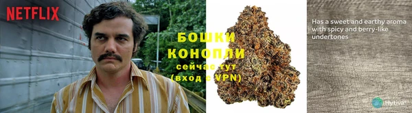 дмт Тихвин