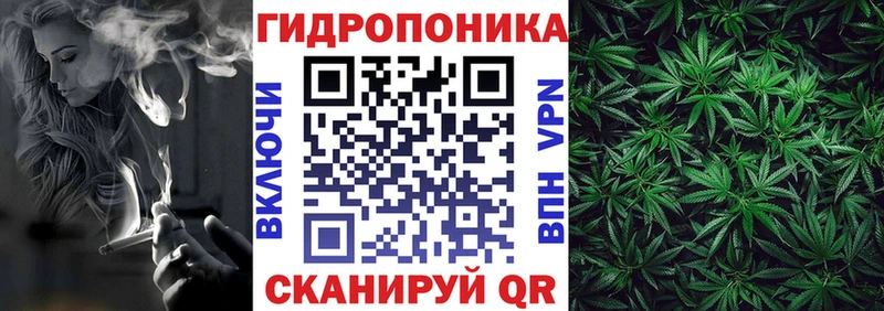 omg ONION  Чекалин  МАРИХУАНА сатива 